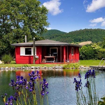 Romantic Wooden Lodge,Sauna,Schwimmteich,Alleinstehend,Absolut Ruhig 黑森奥尔登多夫 外观 照片