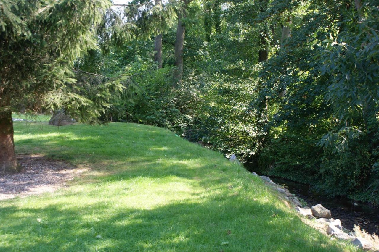 Romantic Wooden Lodge,Sauna,Schwimmteich,Alleinstehend,Absolut Ruhig 黑森奥尔登多夫 外观 照片